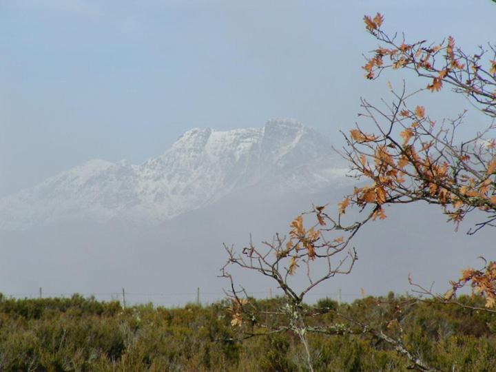 Casa Rural Ruralba Alba de los Cardaños Εξωτερικό φωτογραφία